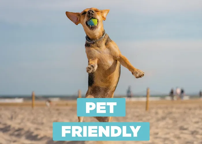 Apartament Cristallo 4h *